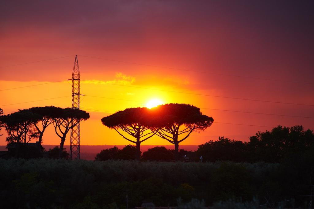 Villino Fiorella Ciampino Extérieur photo
